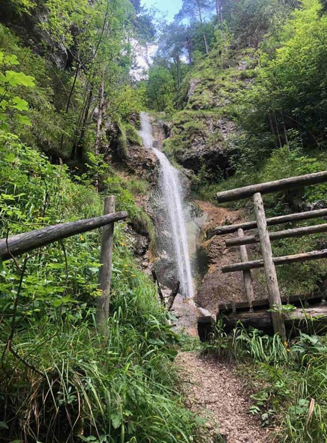 Apartma Lupis Podvolovljek Bagian luar foto